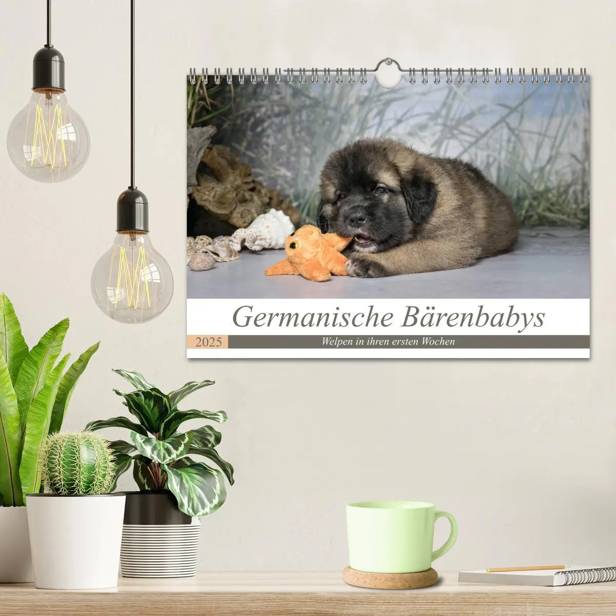 Bild: 9783435330867 | Germanische Bärenbabys (Wandkalender 2025 DIN A4 quer), CALVENDO...