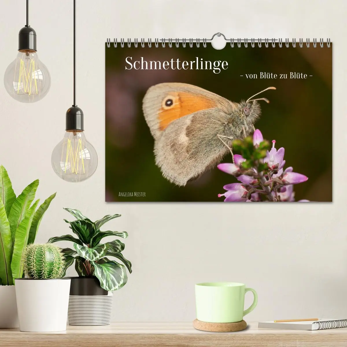 Bild: 9783457590867 | Schmetterlinge - von Blüte zu Blüte - (Wandkalender 2026 DIN A4...