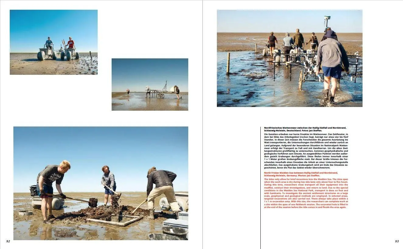 Bild: 9783534640867 | ROOTS | Andrea Ricci (u. a.) | Buch | 224 S. | Deutsch | 2025