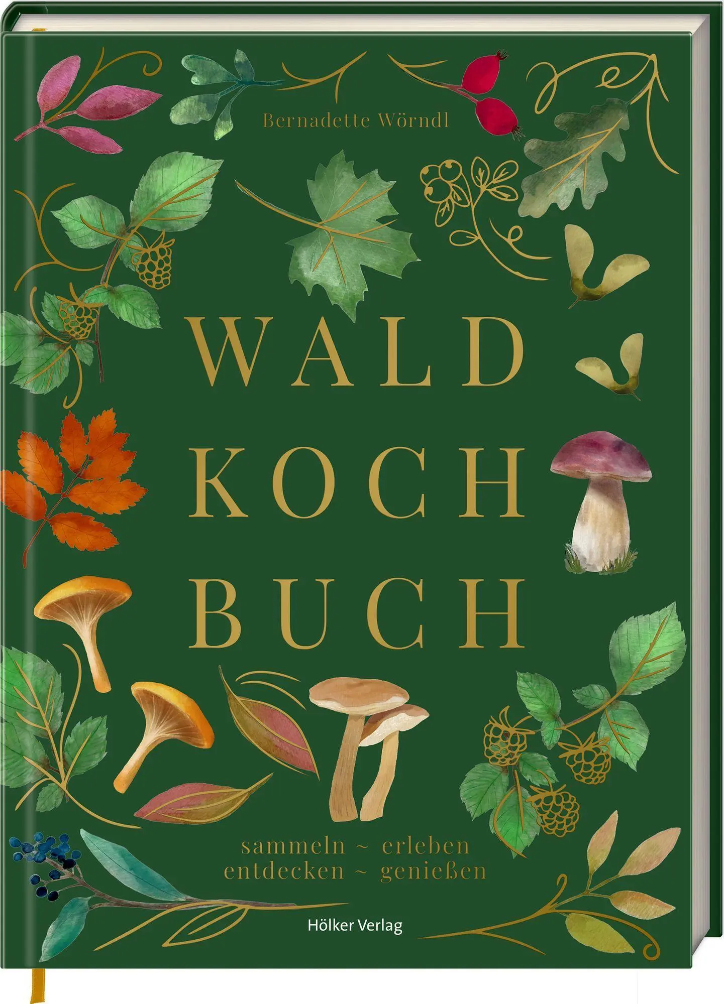 Cover: 9783756710867 | Das Wald-Kochbuch | sammeln - erleben - entdecken - genießen | Wörndl