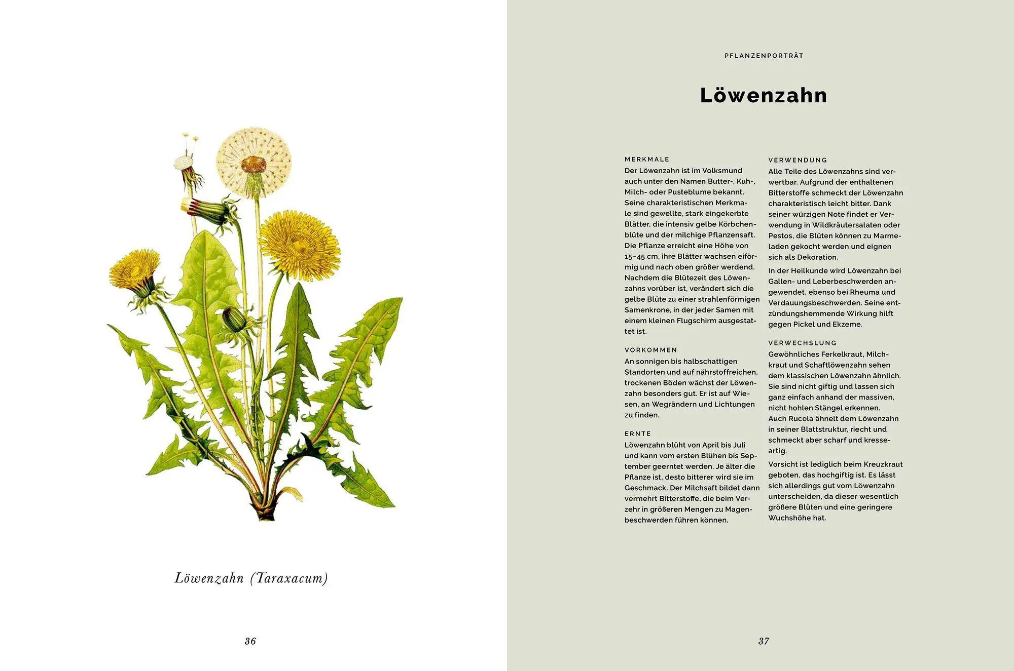 Bild: 9783756710867 | Das Wald-Kochbuch | sammeln - erleben - entdecken - genießen | Wörndl