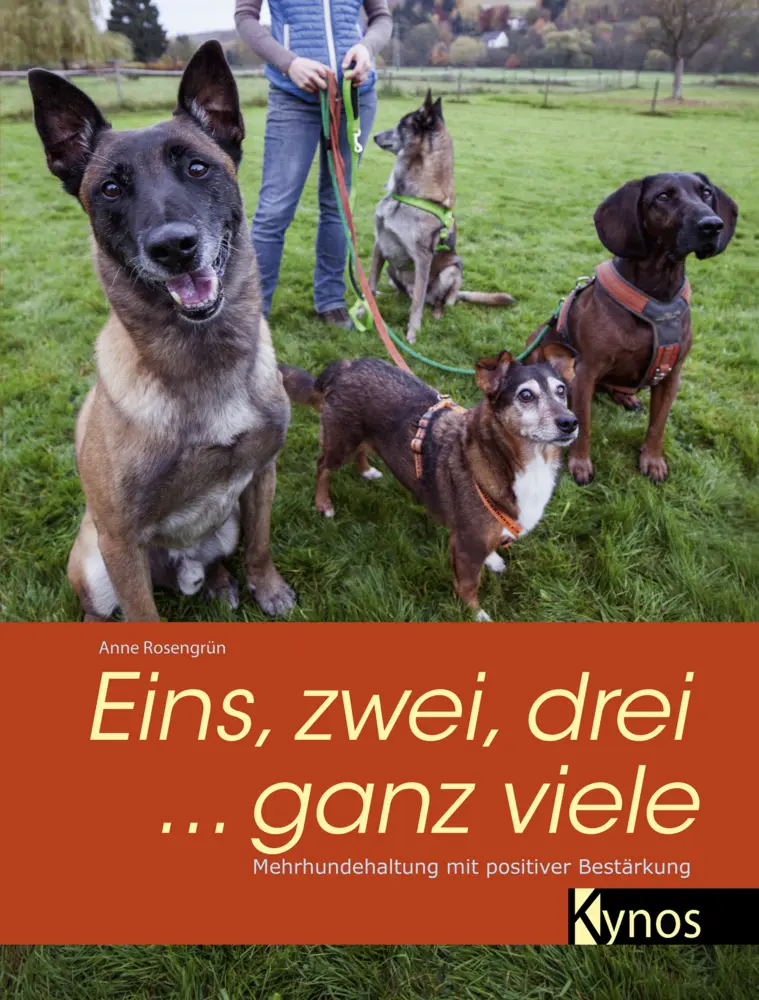 Cover: 9783954640867 | Eins, zwei, drei ... ganz viele | Anne Rosengrün | Buch | 211 S.