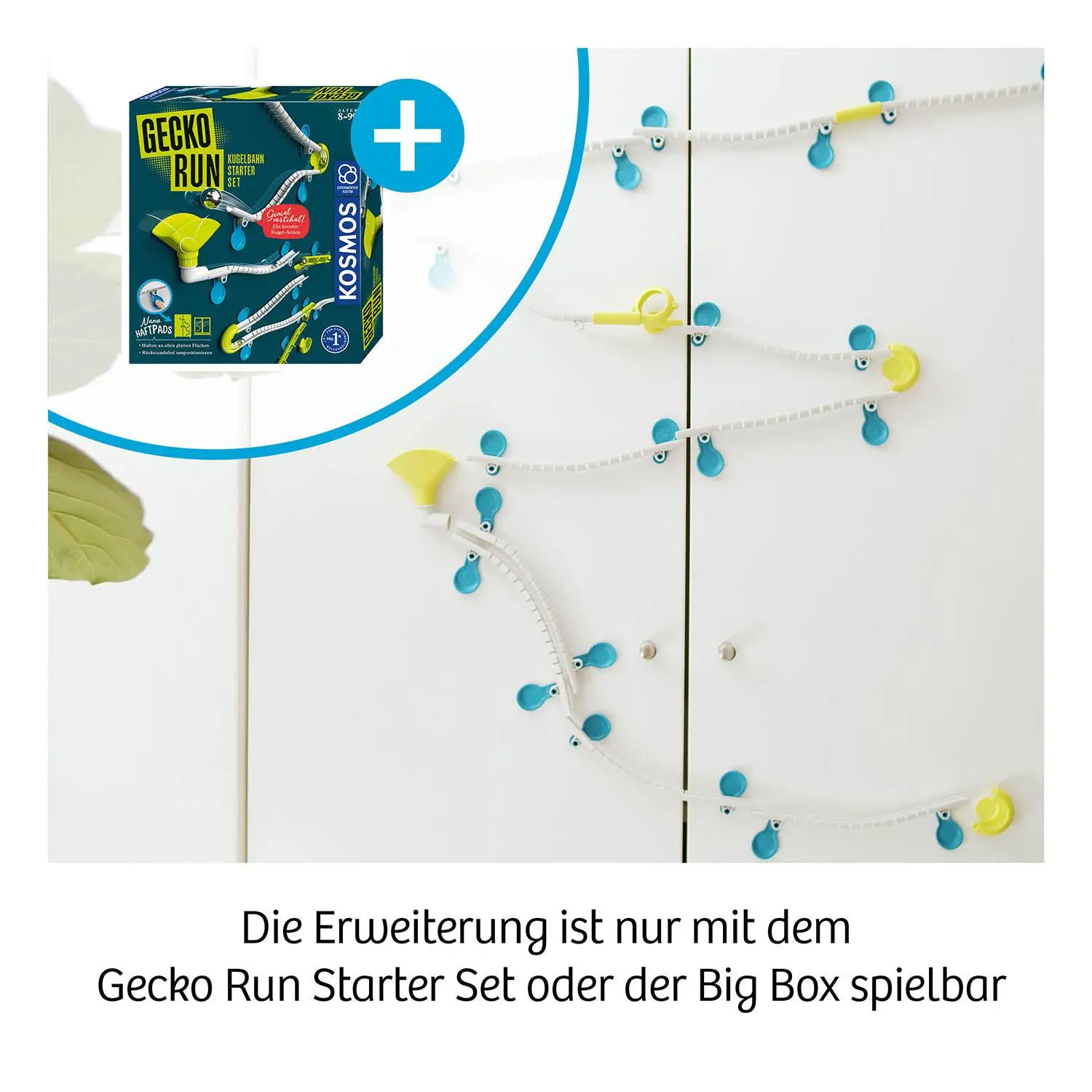 Bild: 4002051620967 | Gecko Run, Twister | Experimentierkasten | Spiel | 620967 | Deutsch