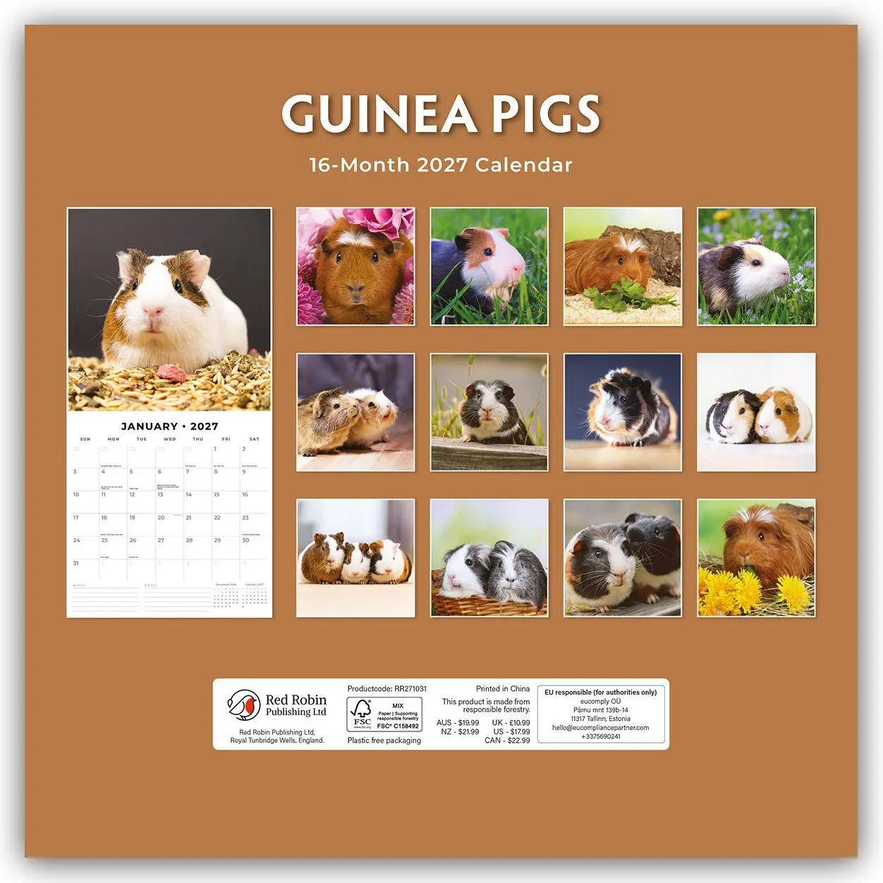 Bild: 9781837010967 | Guinea Pigs - Meerschweinchen 2027 - 16-Monatskalender | Robin Red