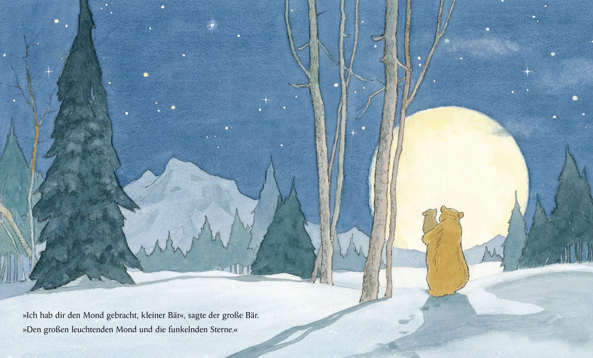 Bild: 9783219120967 | Kannst du nicht schlafen, kleiner Bär?: Pappbilderbuch zum Thema...