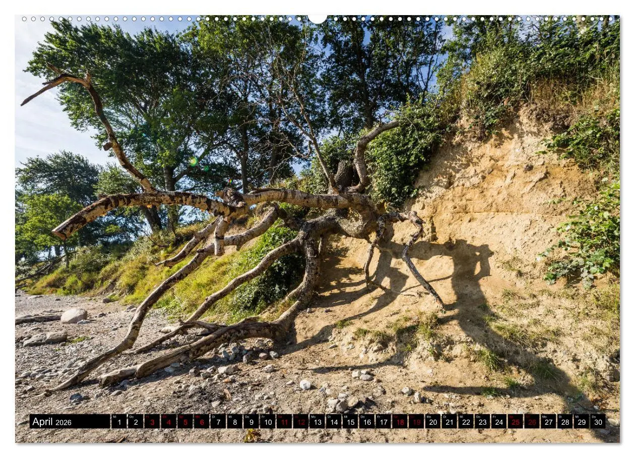 Bild: 9783457890967 | Insel Fehmarn - Impressionen eines Sommertages an der Ostsee...