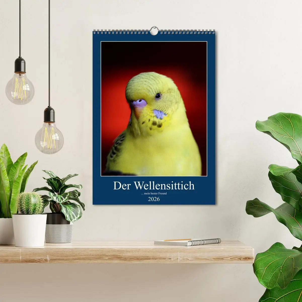 Bild: 9783516360967 | Der Wellensittich - mein bester Freund (Wandkalender 2026 DIN A3...