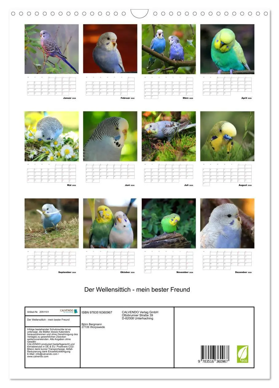 Bild: 9783516360967 | Der Wellensittich - mein bester Freund (Wandkalender 2026 DIN A3...