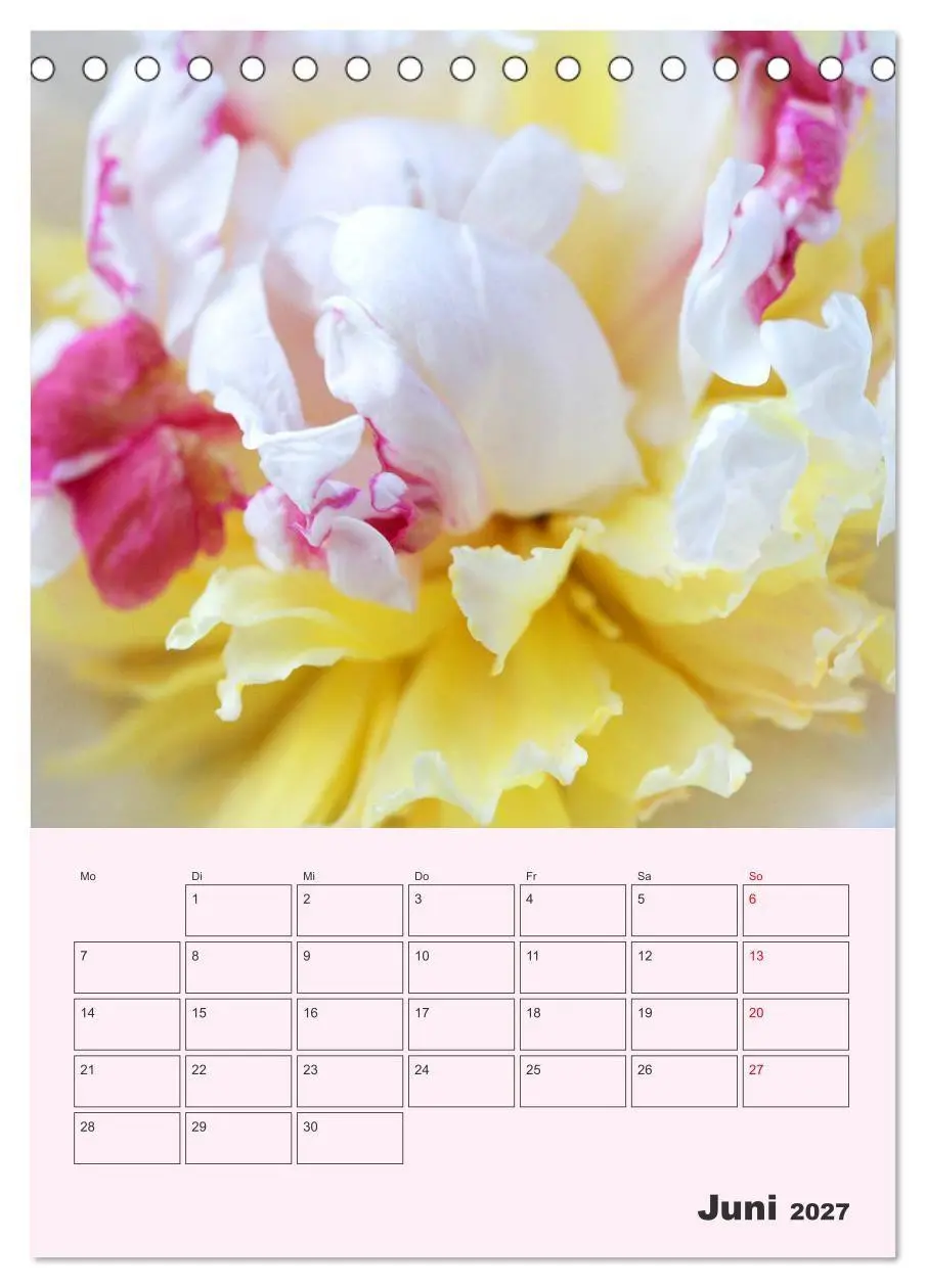 Bild: 9783569690967 | Pfingstrosen Rosen ohne Dornen (Tischkalender 2027 DIN A5 hoch),...