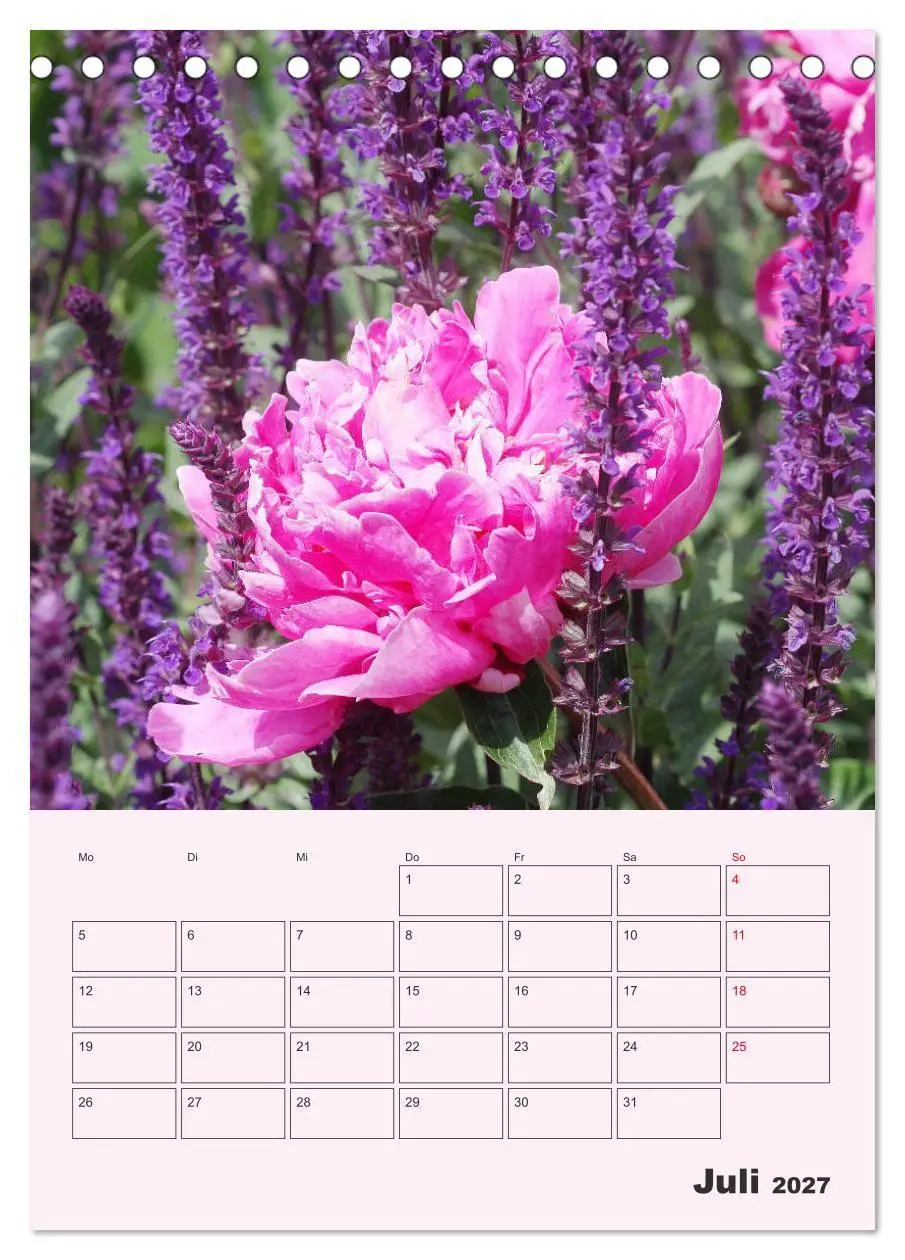 Bild: 9783569690967 | Pfingstrosen Rosen ohne Dornen (Tischkalender 2027 DIN A5 hoch),...