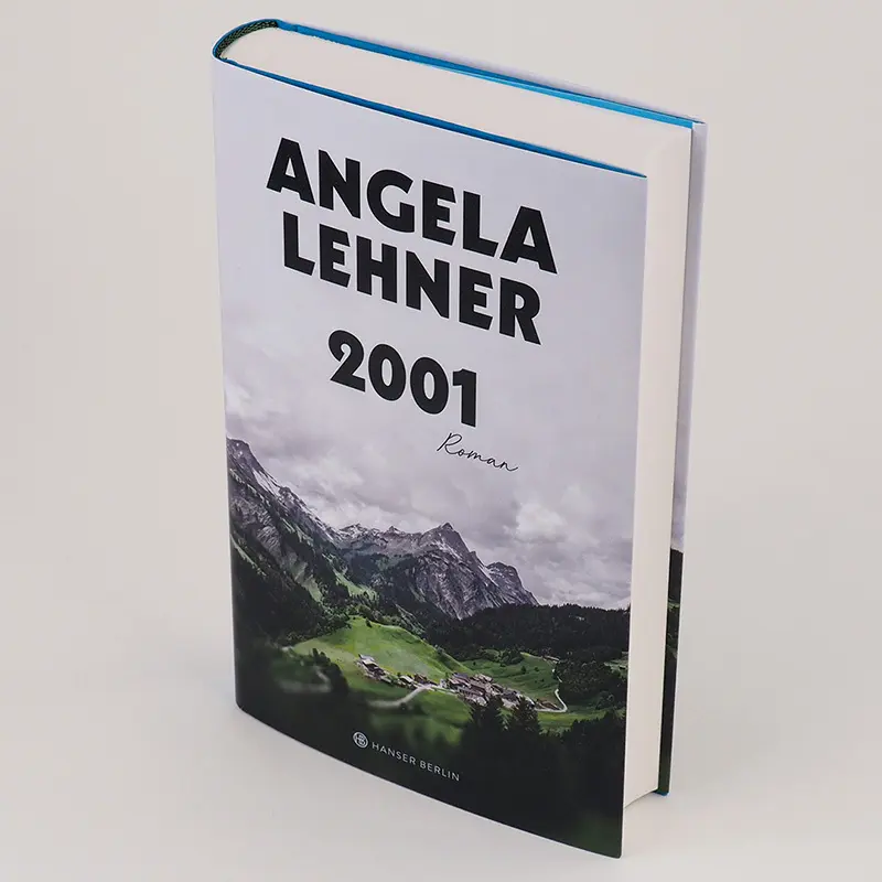 Bild: 9783446271067 | 2001 | Roman | Angela Lehner | Buch | 384 S. | Deutsch | 2021