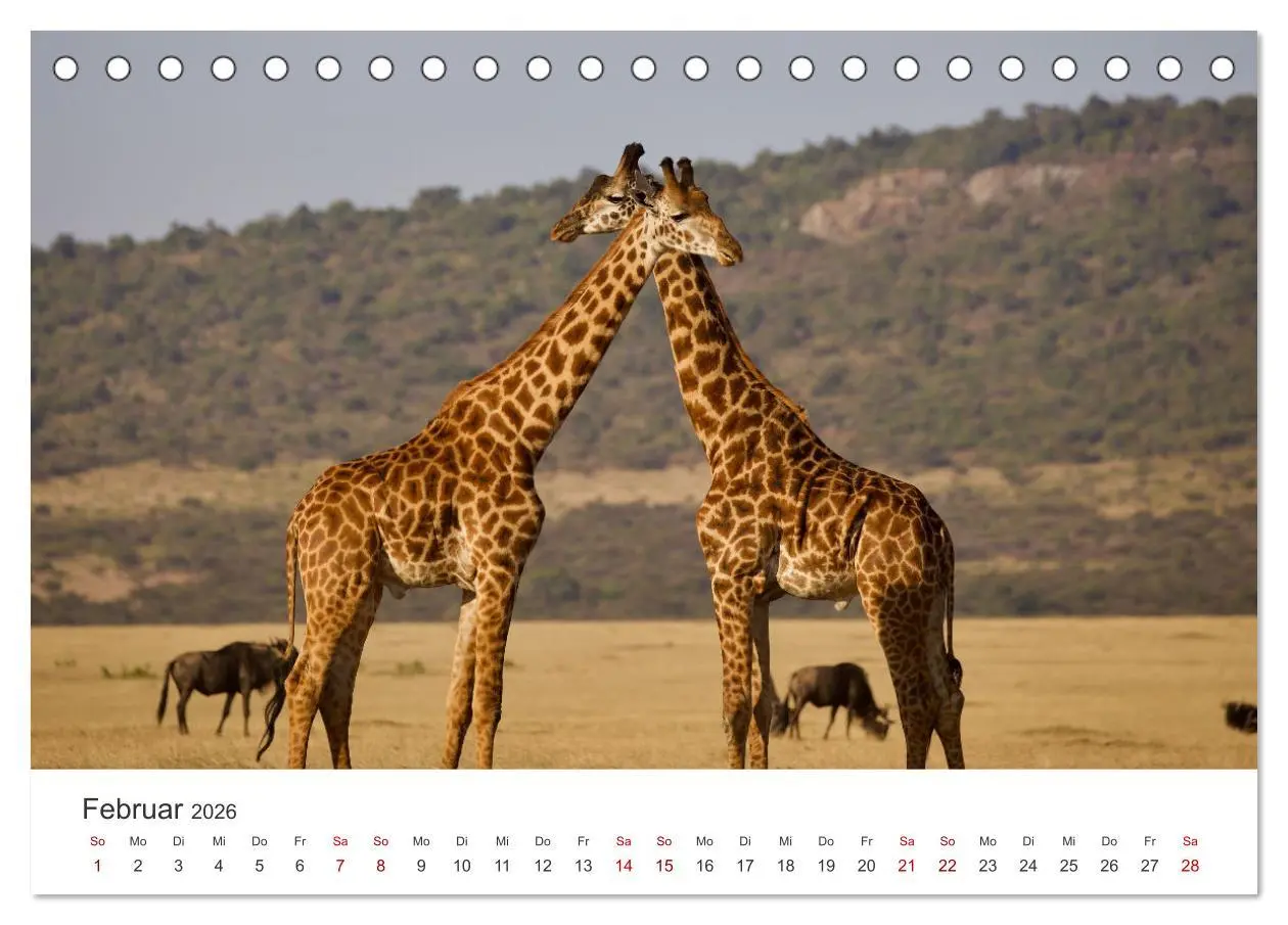 Bild: 9783457611067 | Tansania - Am Fuße des Kilimandscharo. (Tischkalender 2026 DIN A5...