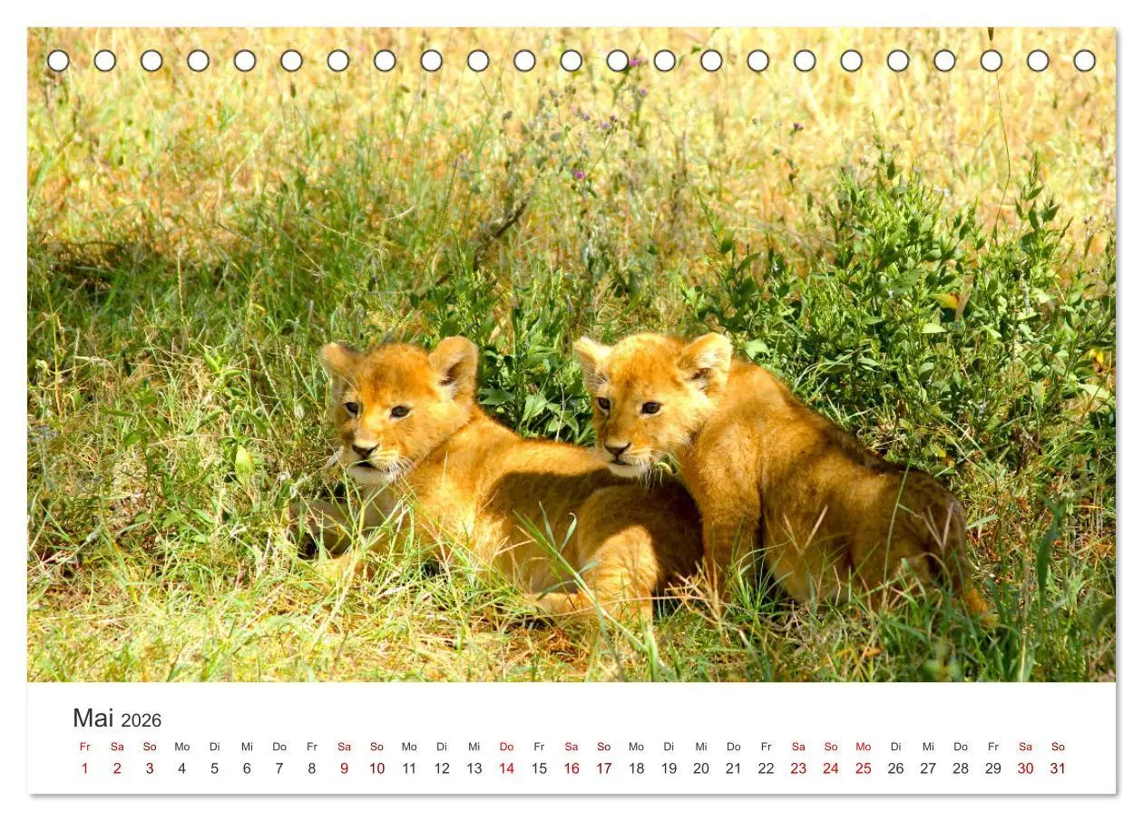 Bild: 9783457611067 | Tansania - Am Fuße des Kilimandscharo. (Tischkalender 2026 DIN A5...