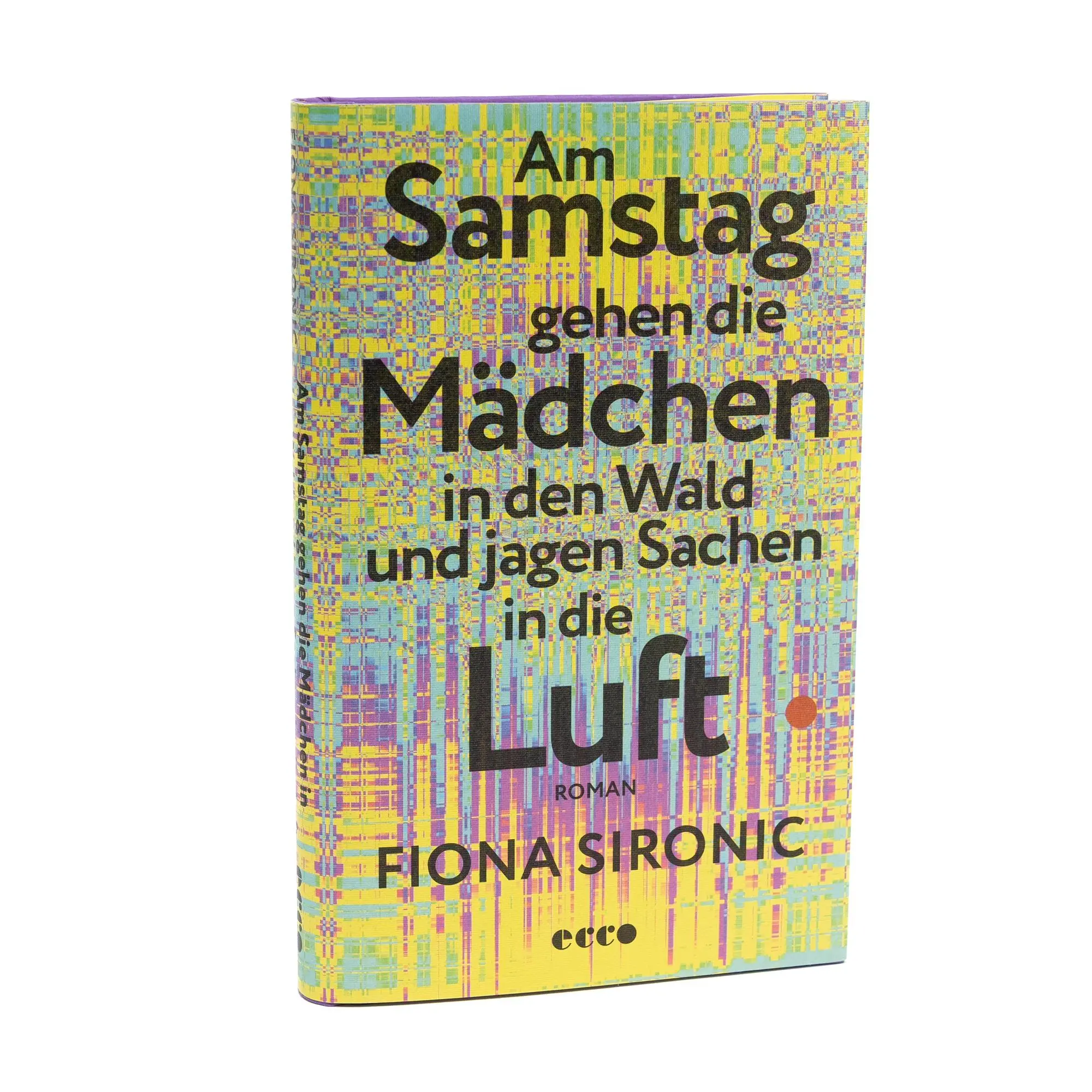 Bild: 9783753001067 | Am Samstag gehen die Mädchen in den Wald und jagen Sachen in die Luft
