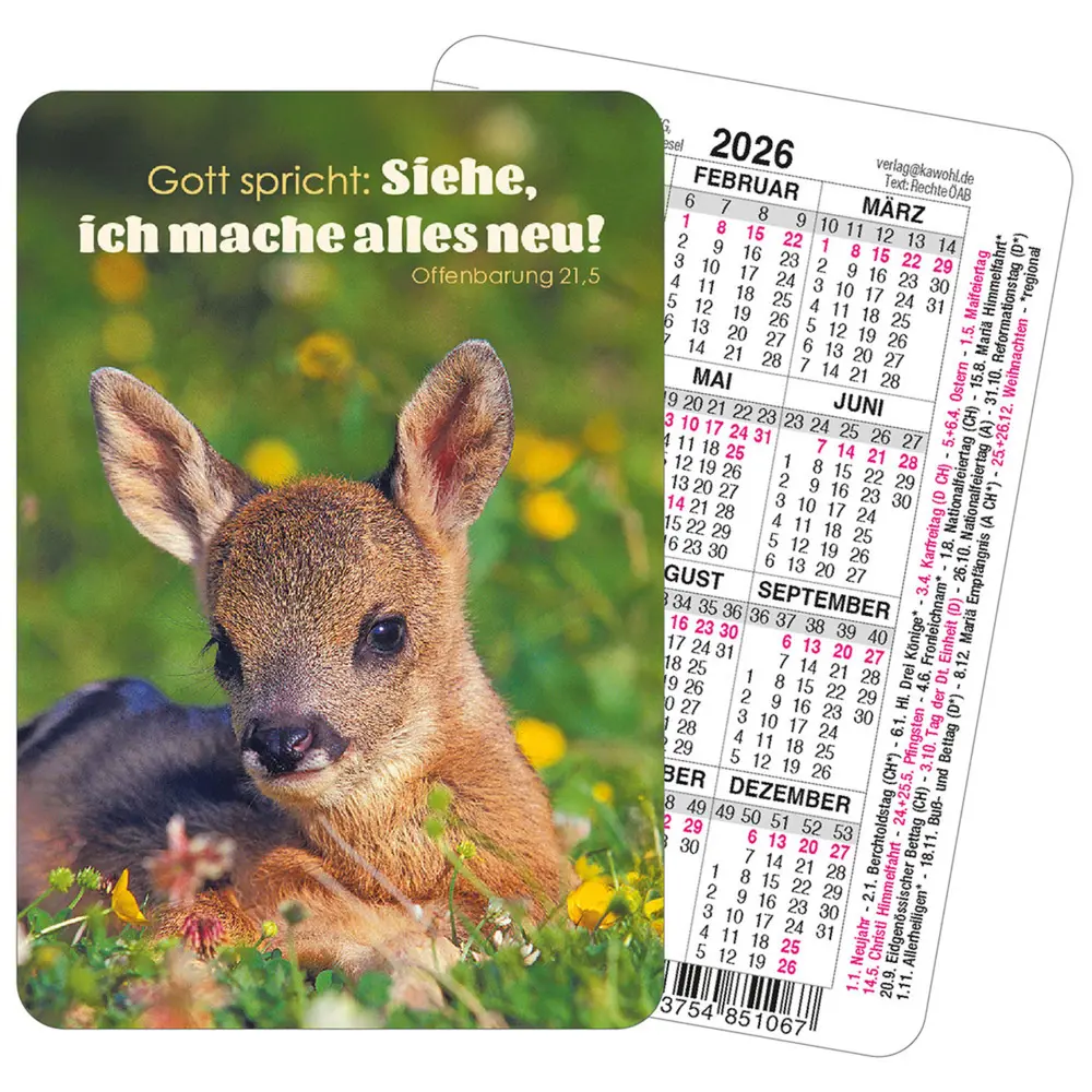Cover: 9783754851067 | Spielkartenkalender 2026 | für Kinder | Kalender | Deutsch | 2026