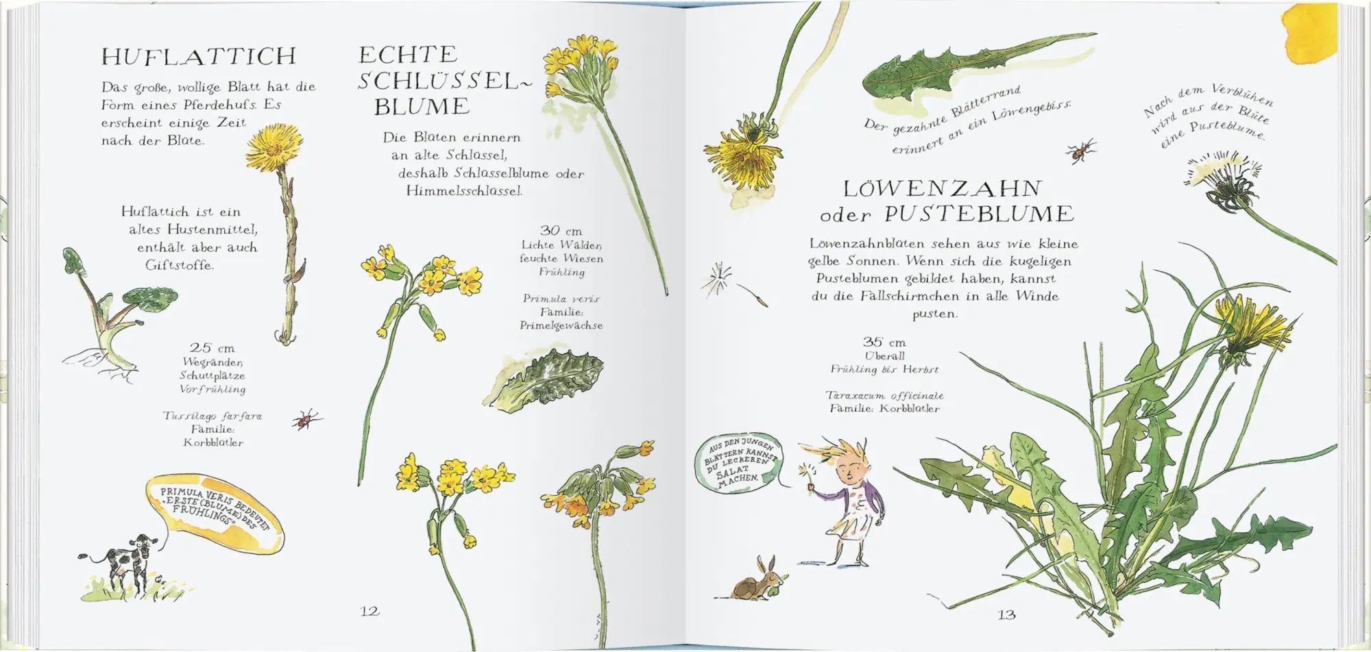 Bild: 9783836951067 | Veilchen, Mohn und Gänseblümchen | Pflanzen bestimmen mit Kindern