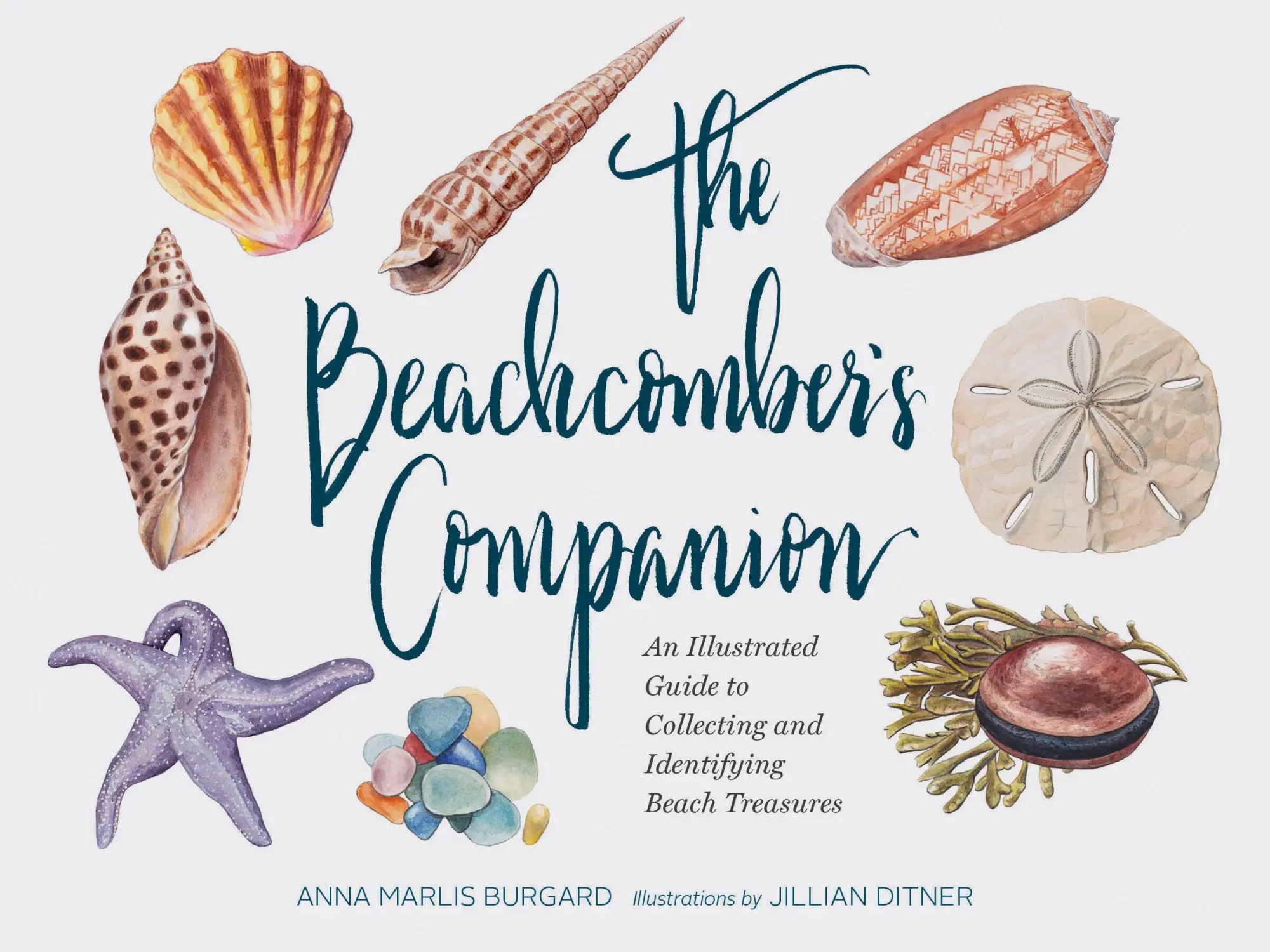 Cover: 9781452161167 | The Beachcomber's Companion | Anna Marlis Burgard | Buch | Gebunden