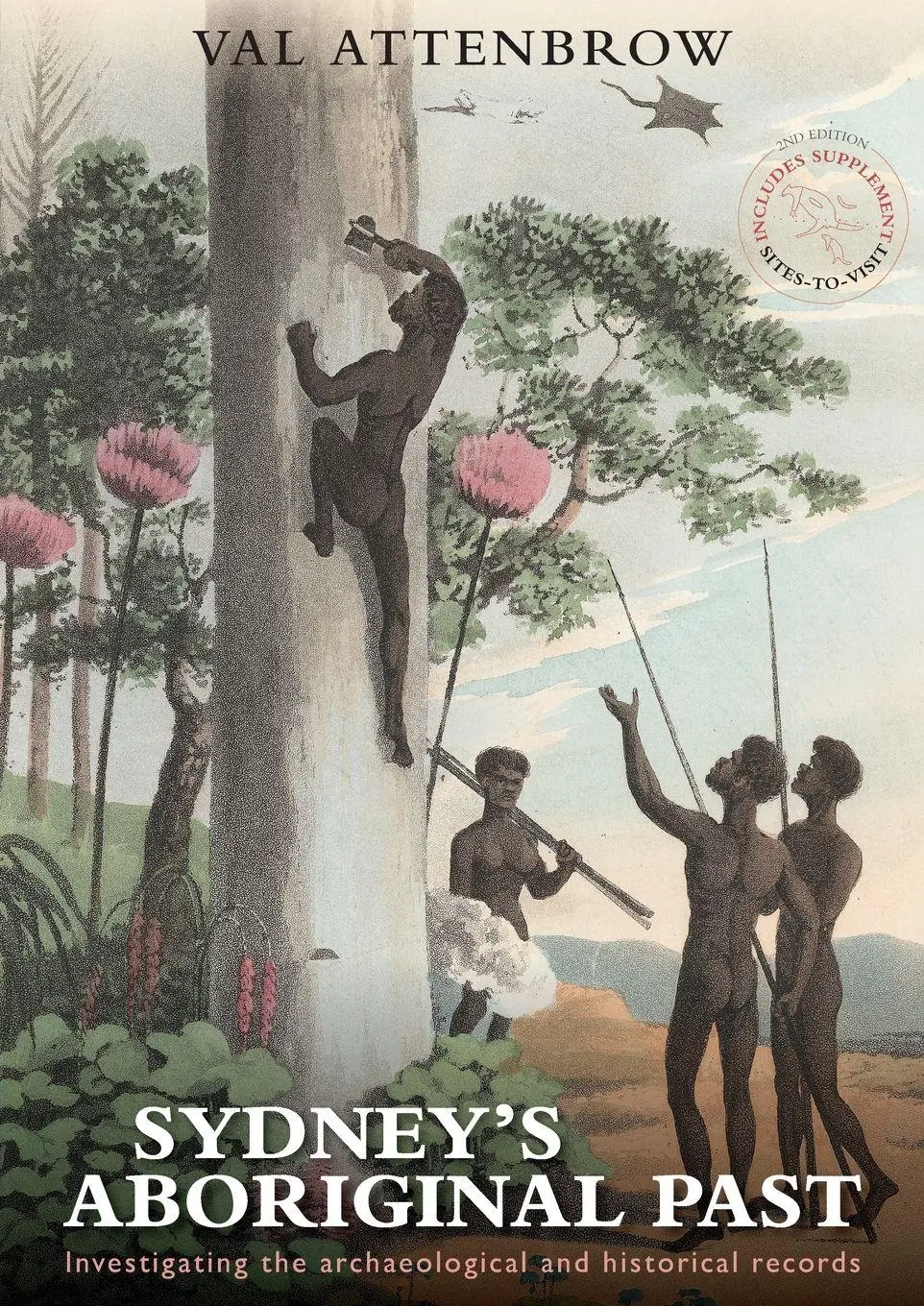 Cover: 9781742231167 | Sydney's Aboriginal Past | Val Attenbrow | Taschenbuch | Englisch