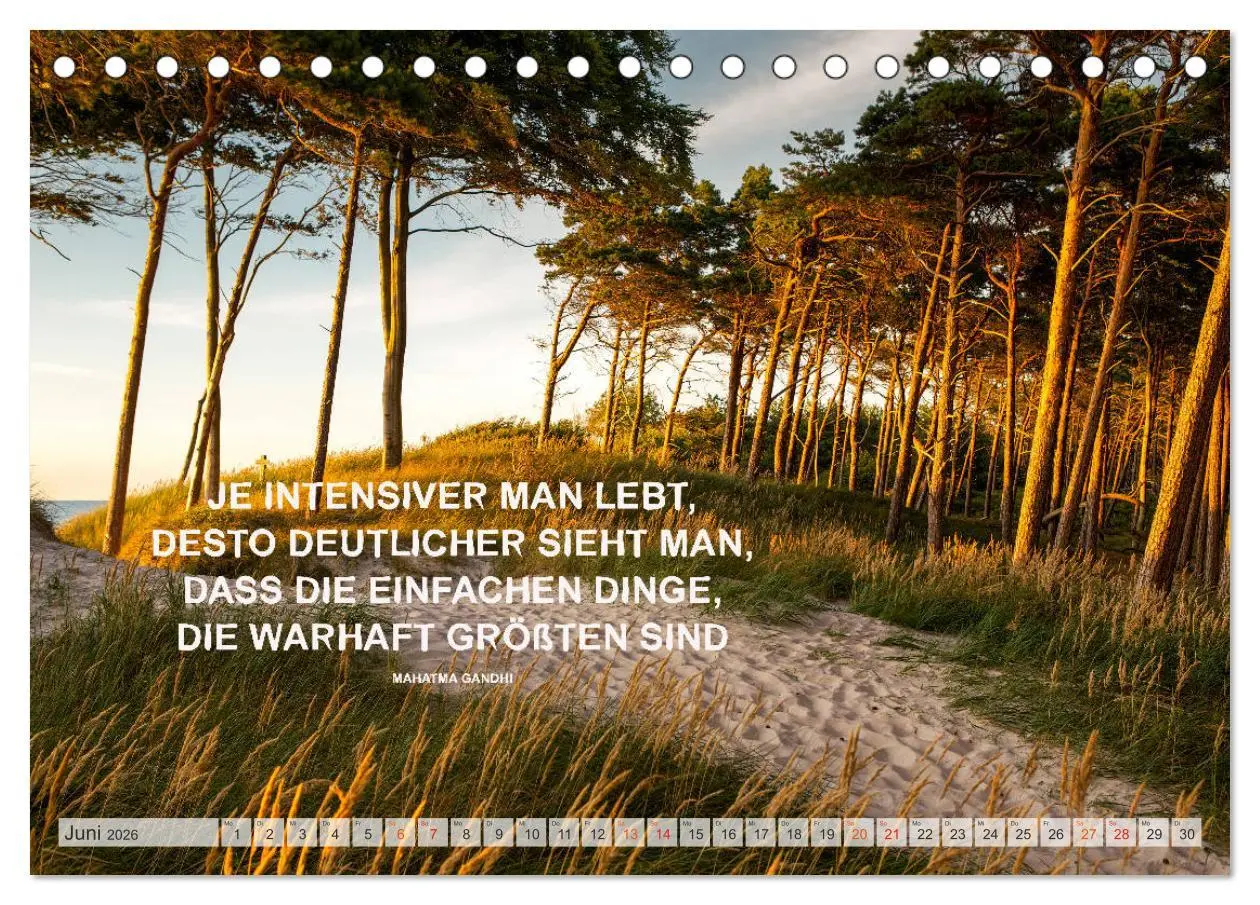 Bild: 9783457691267 | Motivation und Meer (Tischkalender 2026 DIN A5 quer), CALVENDO...