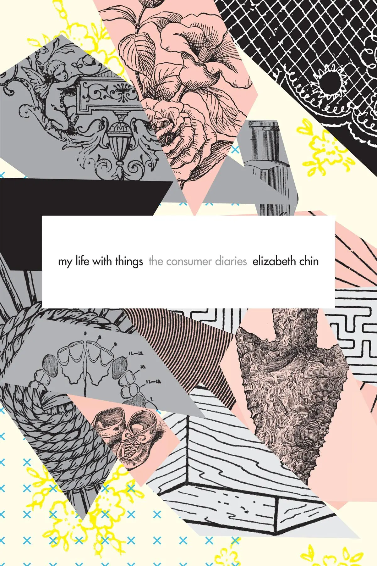 Cover: 9780822361367 | My Life with Things | The Consumer Diaries | Elizabeth Chin | Buch