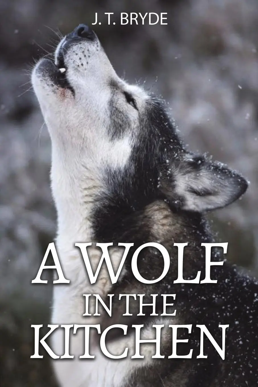 Cover: 9781035801367 | A Wolf in the Kitchen | J. T. Bryde | Taschenbuch | Englisch | 2023
