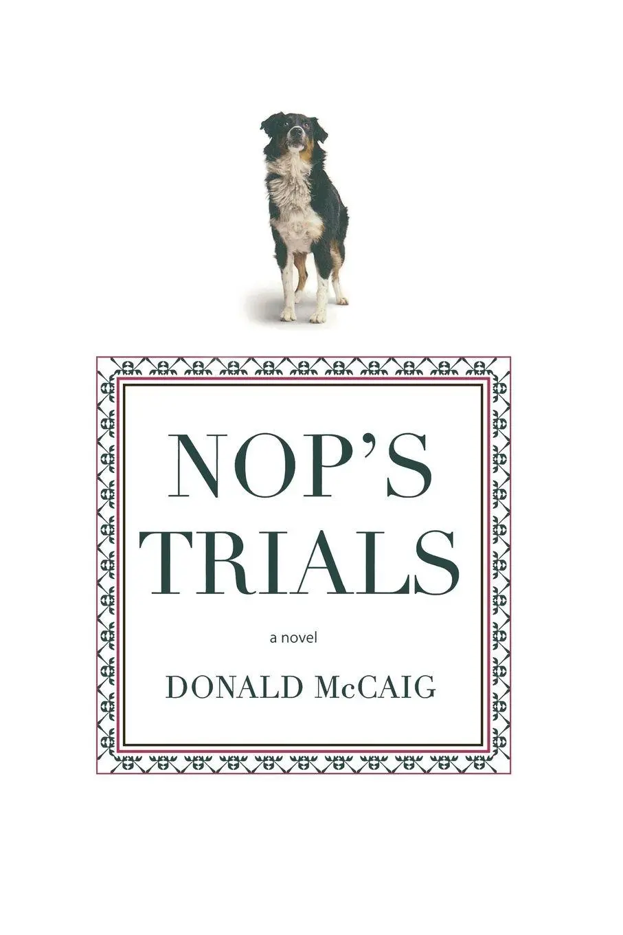 Cover: 9781599211367 | Nop's Trials | A Novel | Donald Mccaig | Taschenbuch | Englisch | 2007