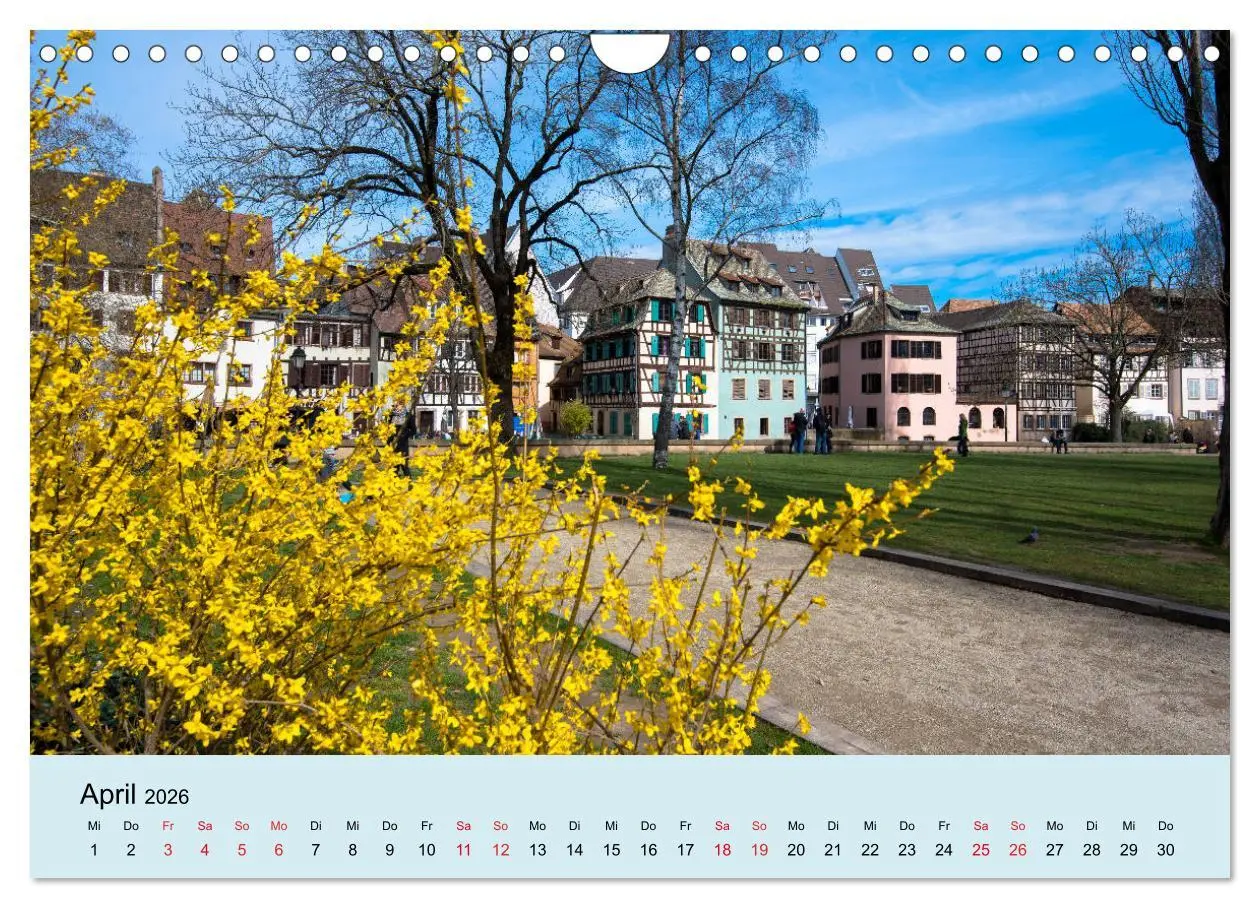 Bild: 9783457821367 | Elsass- und Vogesenträume (Wandkalender 2026 DIN A4 quer), CALVENDO...