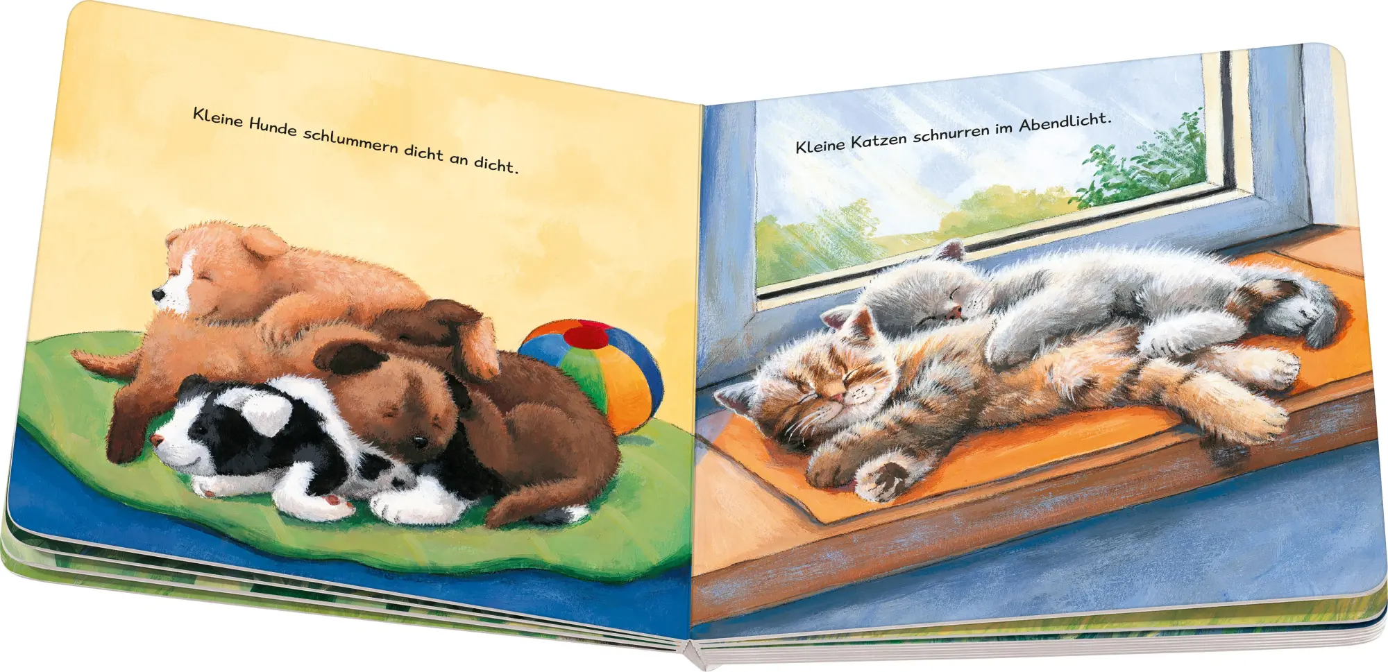 Bild: 9783473421367 | Wenn kleine Tiere müde sind | Sabine Cuno | Buch | 24 S. | Deutsch