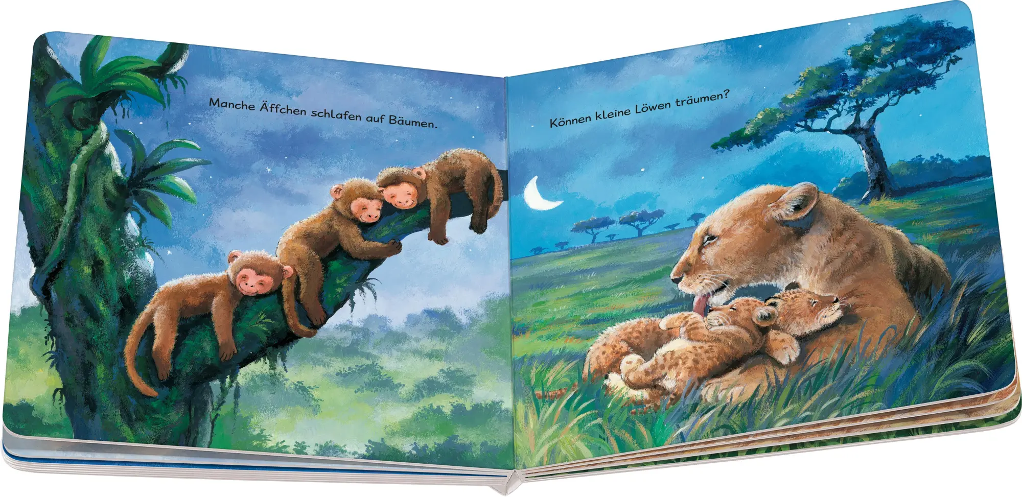 Bild: 9783473421367 | Wenn kleine Tiere müde sind | Sabine Cuno | Buch | 24 S. | Deutsch
