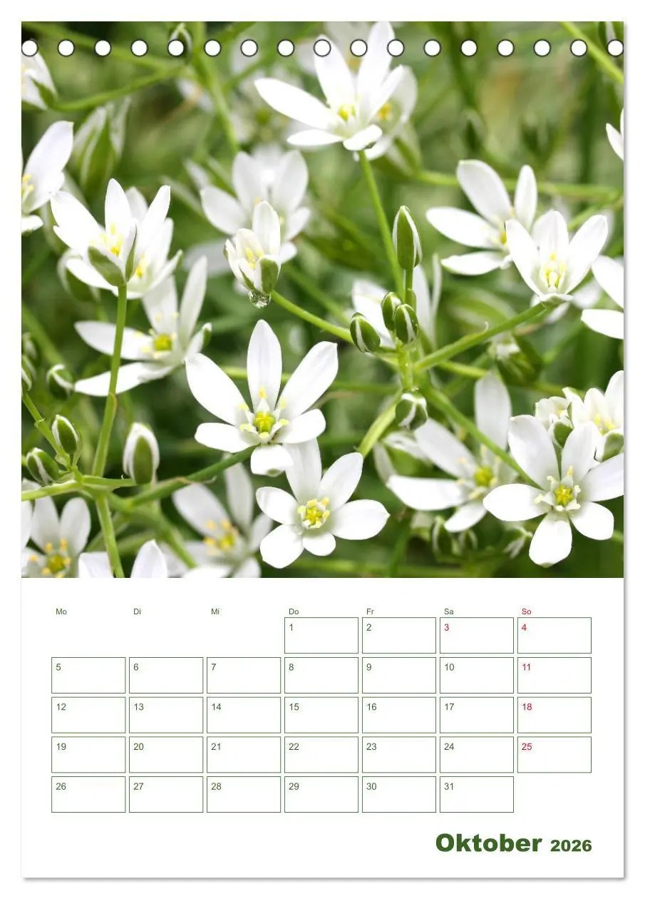 Bild: 9783516391367 | Weiße Blüten im Grünen (Tischkalender 2026 DIN A5 hoch), CALVENDO...