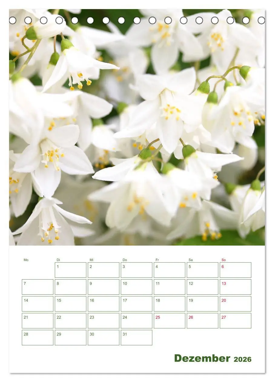 Bild: 9783516391367 | Weiße Blüten im Grünen (Tischkalender 2026 DIN A5 hoch), CALVENDO...