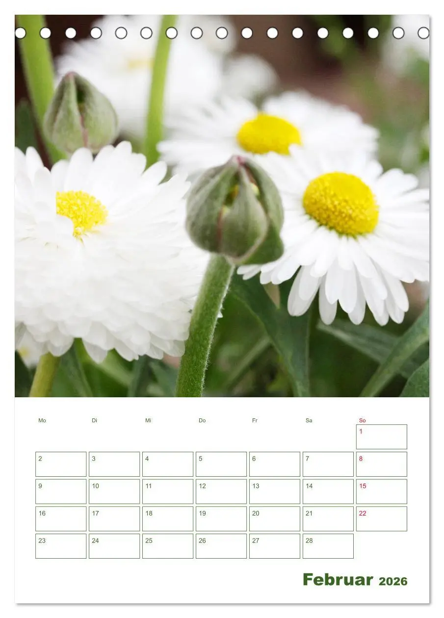 Bild: 9783516391367 | Weiße Blüten im Grünen (Tischkalender 2026 DIN A5 hoch), CALVENDO...