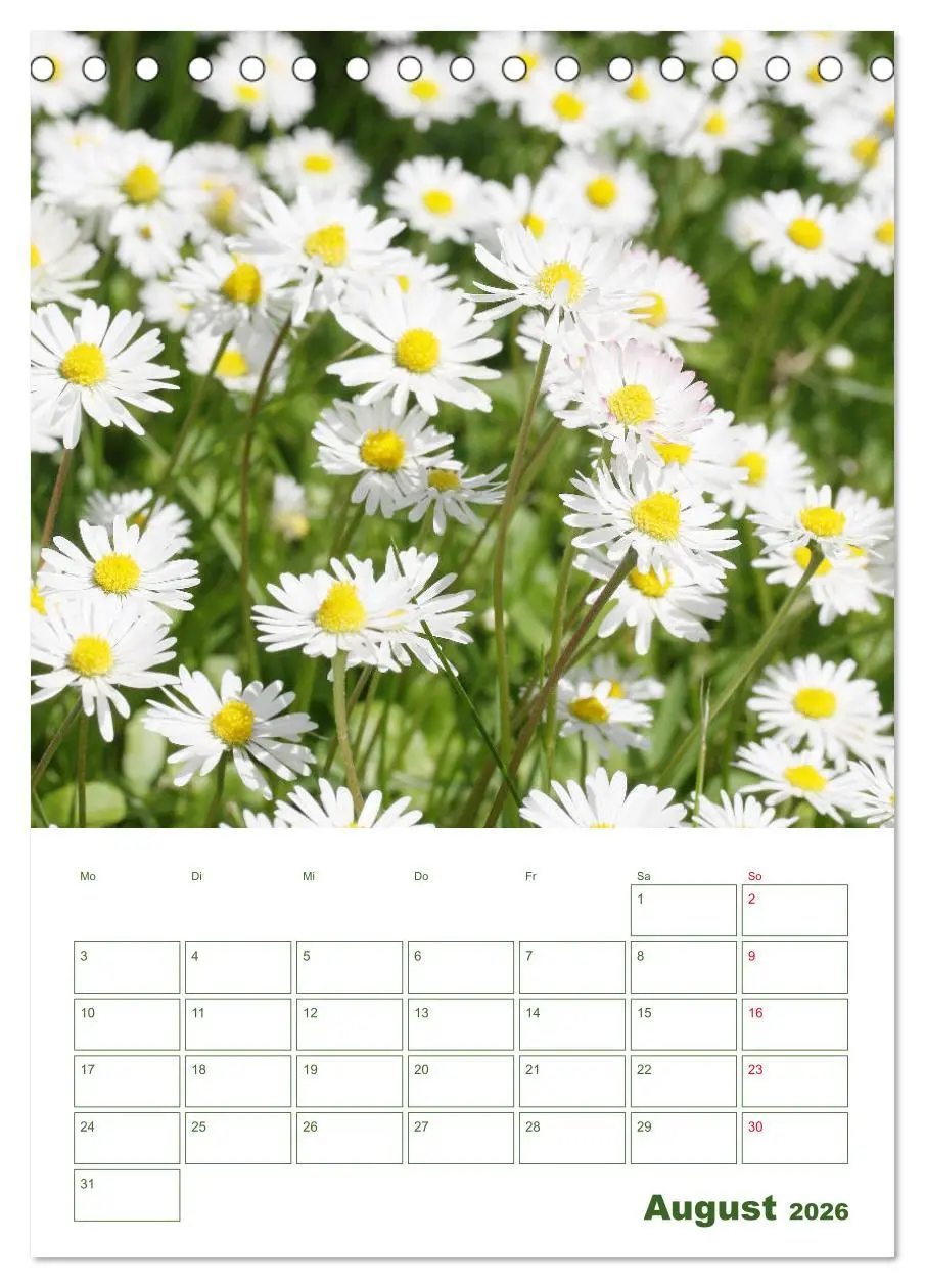 Bild: 9783516391367 | Weiße Blüten im Grünen (Tischkalender 2026 DIN A5 hoch), CALVENDO...