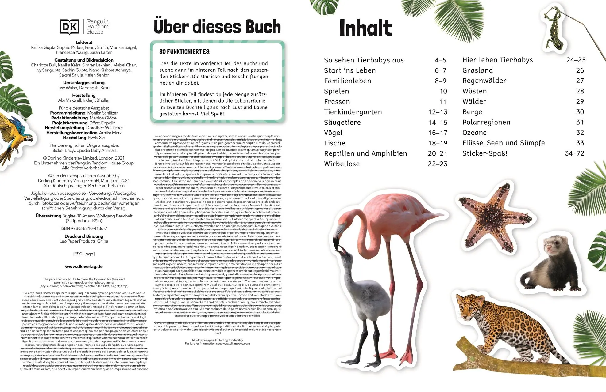 Bild: 9783831041367 | Sticker-Lexikon. Tierkinder | DK Verlag - Kids | Taschenbuch | 72 S.