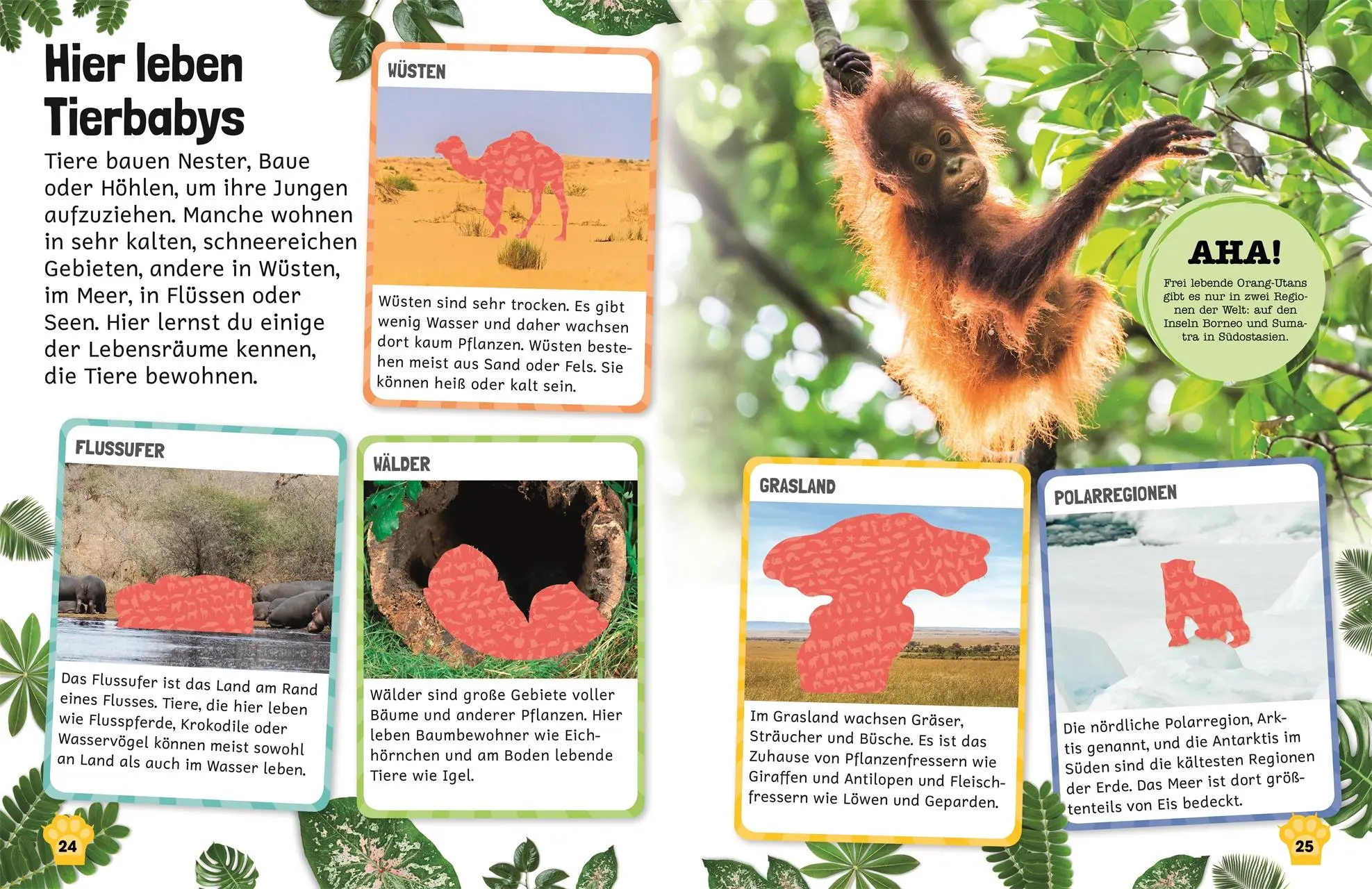 Bild: 9783831041367 | Sticker-Lexikon. Tierkinder | DK Verlag - Kids | Taschenbuch | 72 S.