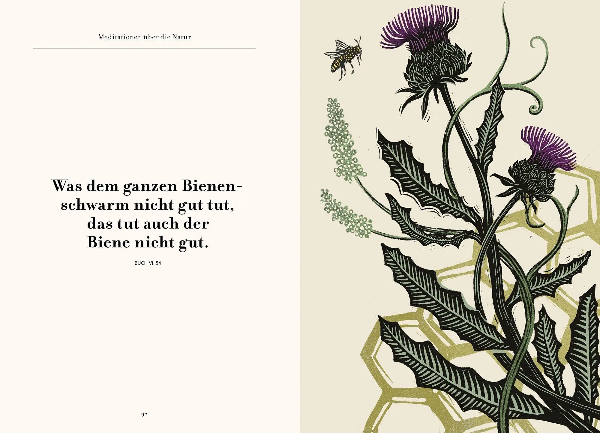 Bild: 9783989621367 | Wege zu sich selbst | Marc Aurel (u. a.) | Buch | 192 S. | Deutsch