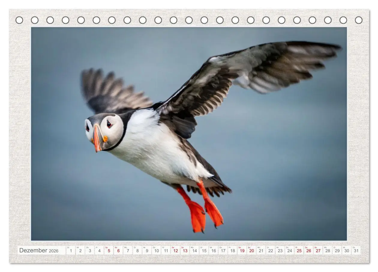 Bild: 9783457501467 | Die kleinen schönen (Tischkalender 2026 DIN A5 quer), CALVENDO...