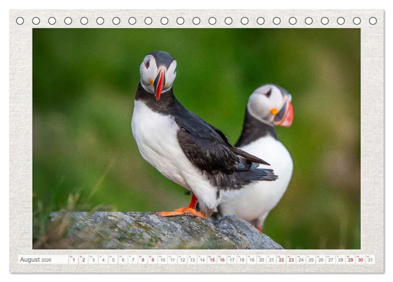 Bild: 9783457501467 | Die kleinen schönen (Tischkalender 2026 DIN A5 quer), CALVENDO...