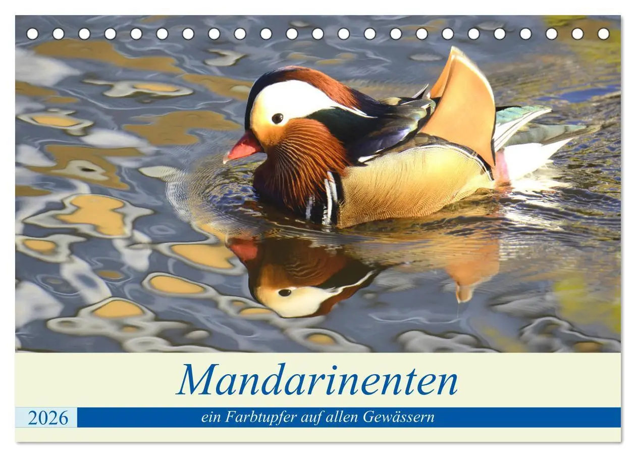 Cover: 9783457671467 | Mandarinenten, ein Farbtupfer auf allen Gewässern. (Tischkalender...