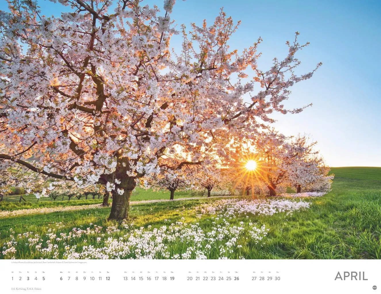 Bild: 9783756411467 | Sonnenzauber Posterkalender 2026 | Heye | Kalender | Spiralbindung