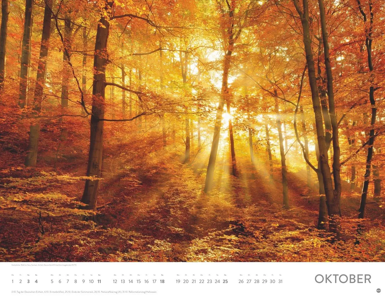 Bild: 9783756411467 | Sonnenzauber Posterkalender 2026 | Heye | Kalender | Spiralbindung