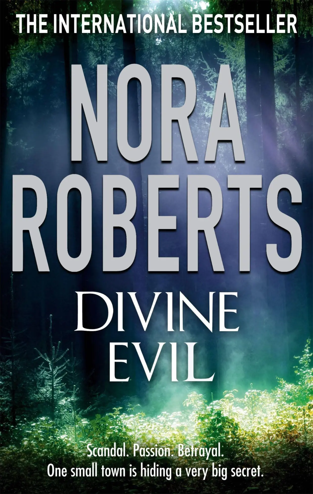Cover: 9780749941567 | Divine Evil | Nora Roberts | Taschenbuch | Kartoniert / Broschiert
