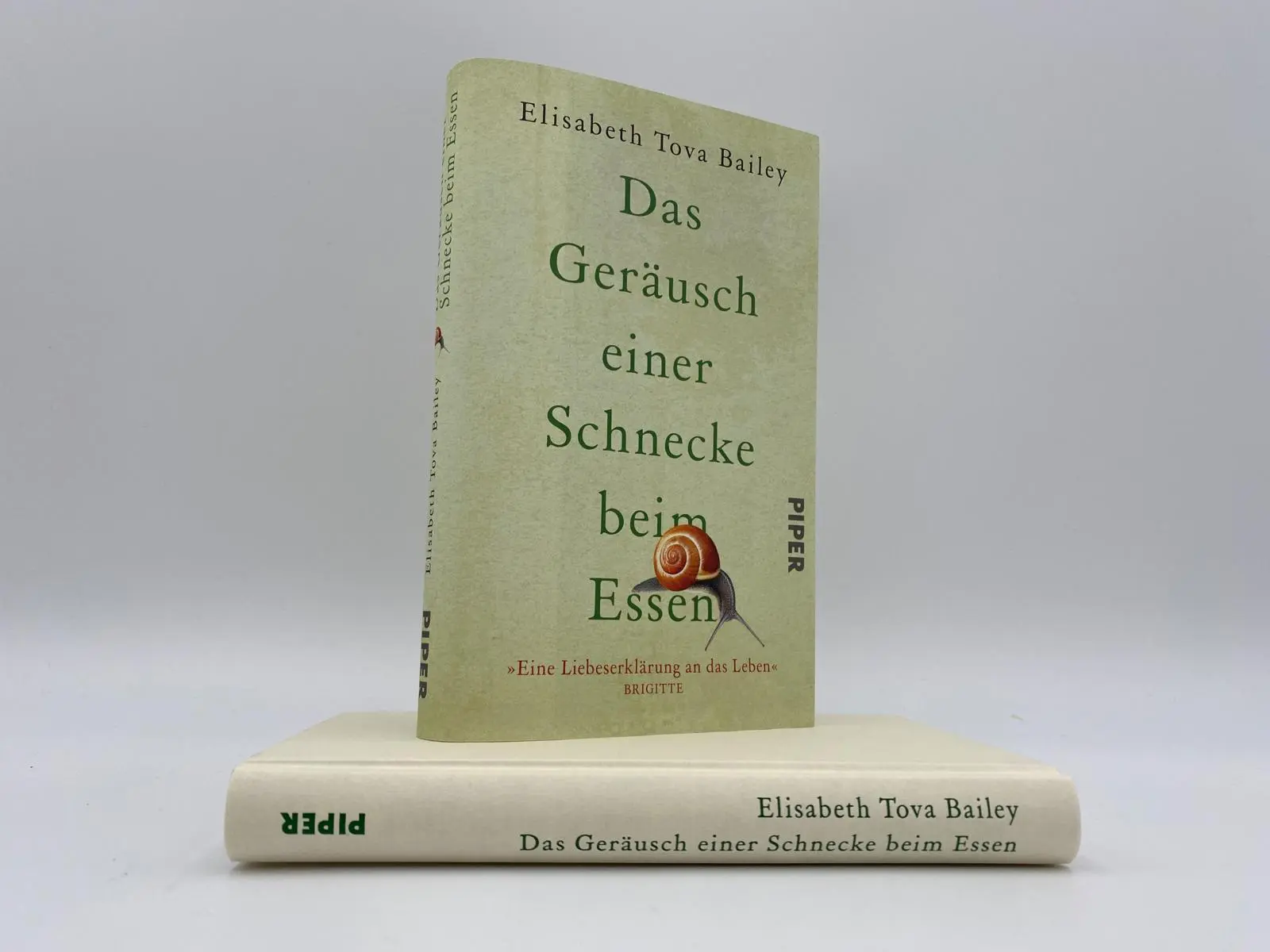 Bild: 9783492071567 | Das Geräusch einer Schnecke beim Essen | Elisabeth Tova Bailey | Buch