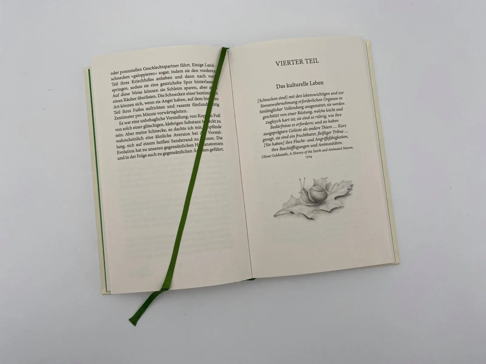 Bild: 9783492071567 | Das Geräusch einer Schnecke beim Essen | Elisabeth Tova Bailey | Buch