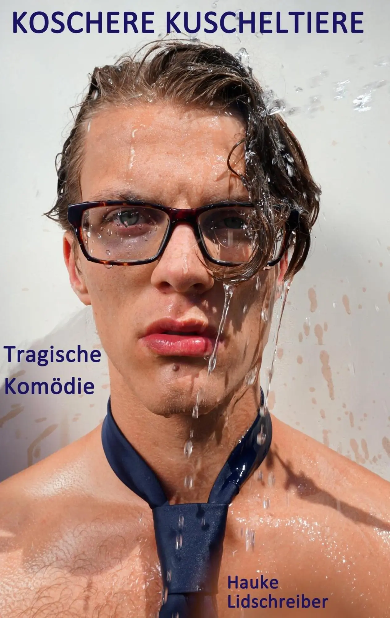 Cover: 9783752821567 | Koschere Kuscheltiere | Tragische Komödie | Hauke Lidschreiber | Buch