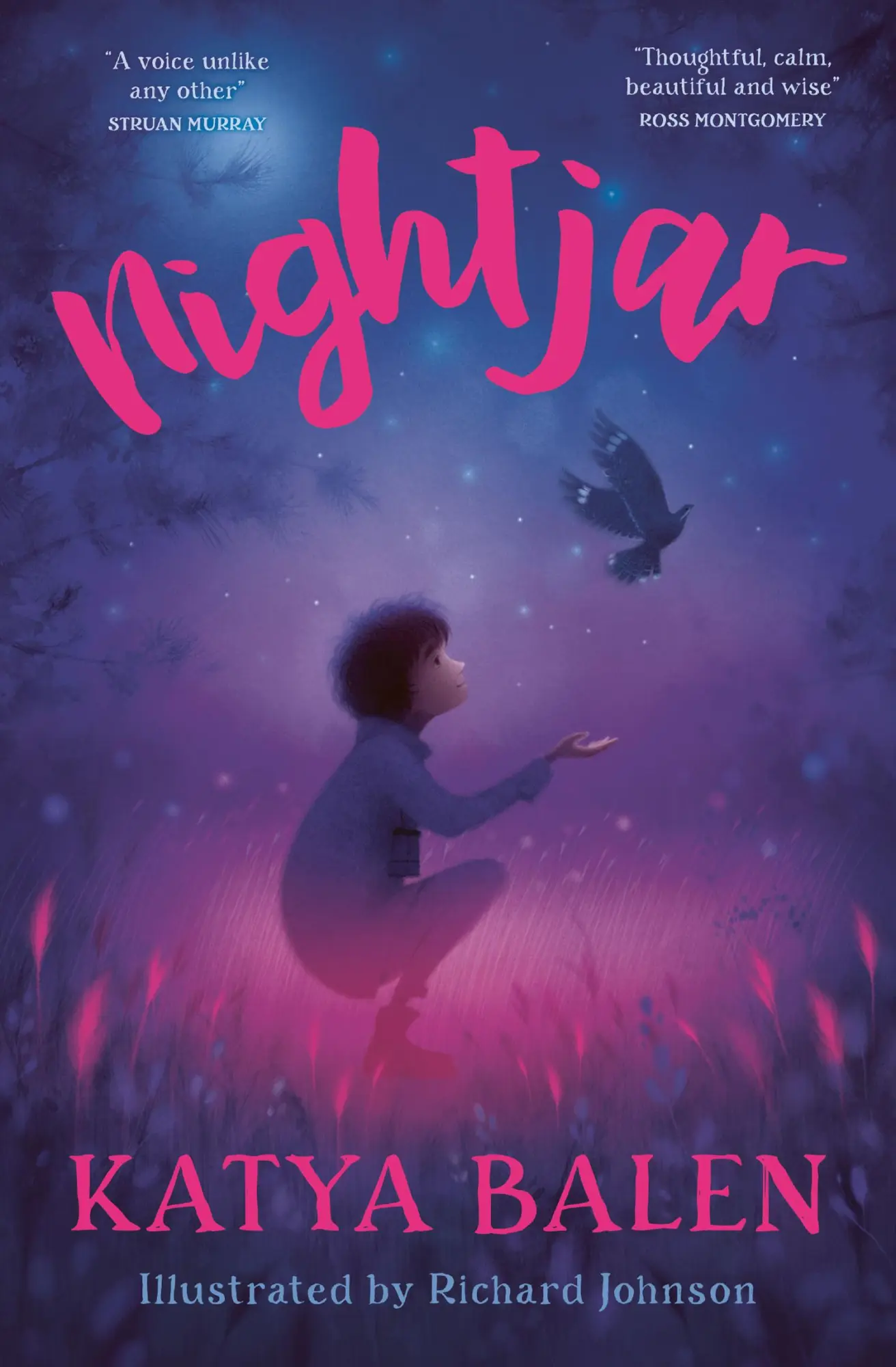 Cover: 9781800901667 | Nightjar | Katya Balen | Taschenbuch | Kartoniert / Broschiert | 2023