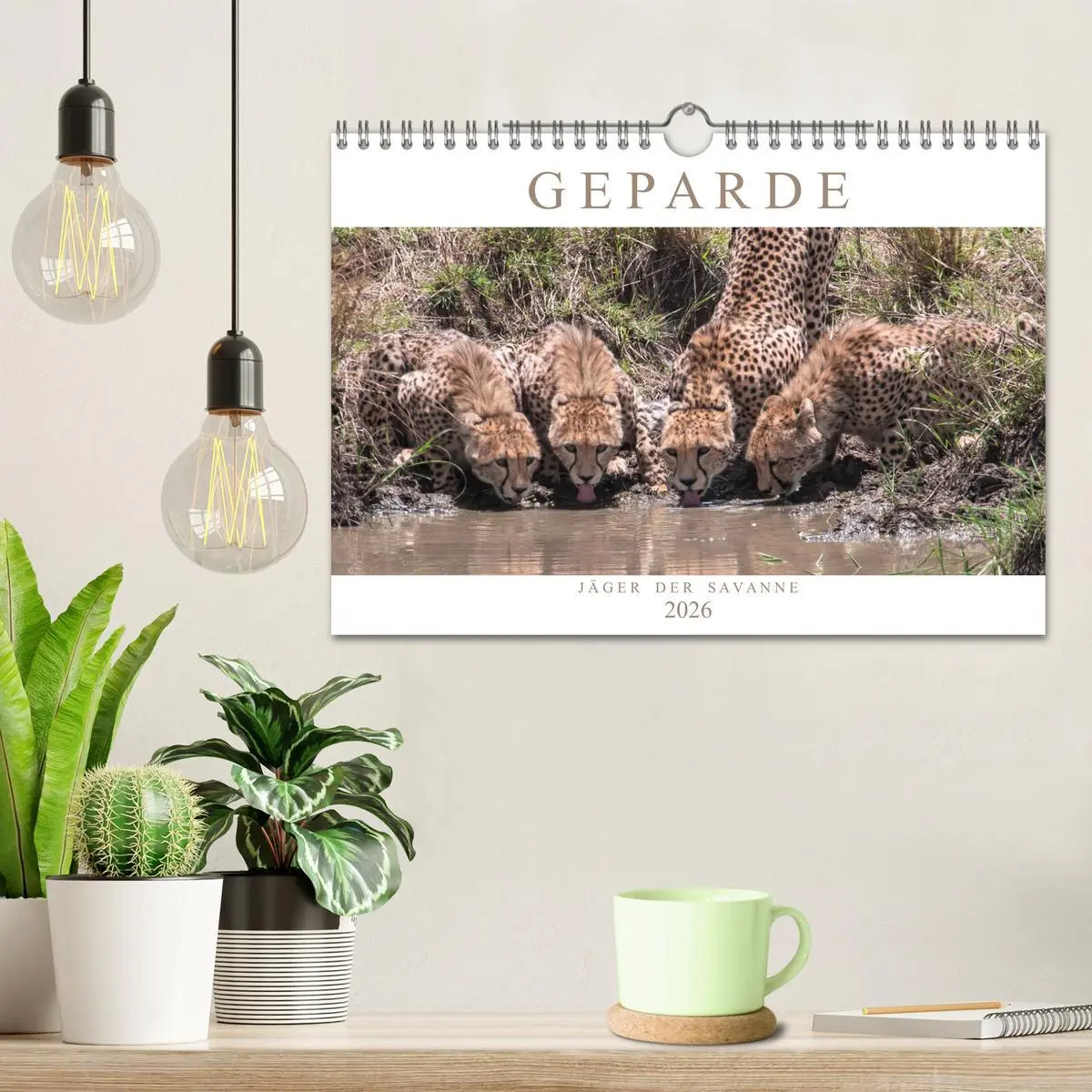Bild: 9783457891667 | Geparde - Jäger der Savanne (Wandkalender 2026 DIN A4 quer),...