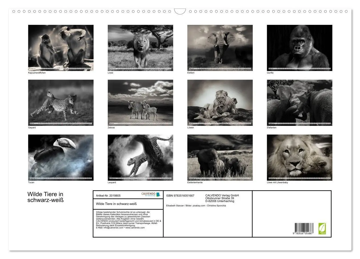 Bild: 9783516051667 | Wilde Tiere in schwarz-weiß (Wandkalender 2026 DIN A2 quer),...
