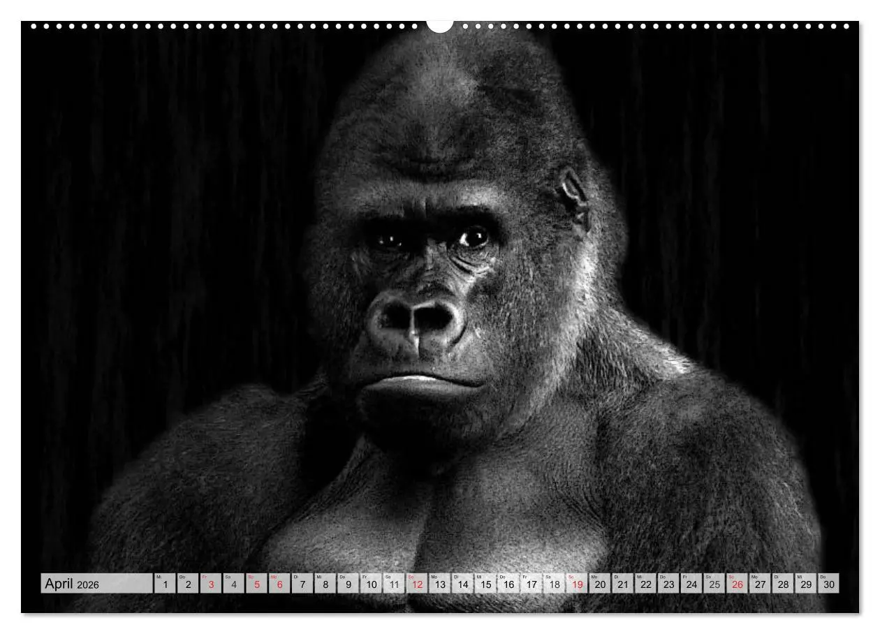 Bild: 9783516051667 | Wilde Tiere in schwarz-weiß (Wandkalender 2026 DIN A2 quer),...