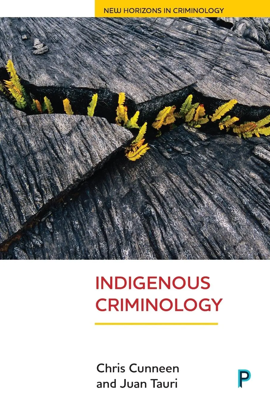 Cover: 9781447321767 | Indigenous criminology | Chris Cunneen (u. a.) | Taschenbuch | 2017